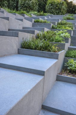 Kowloon, 3 Ağustos 2024 Kare Piramitler Bahçesi