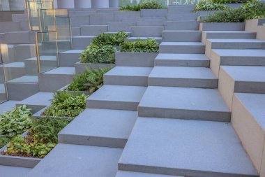 Kowloon, 3 Ağustos 2024 Kare Piramitler Bahçesi