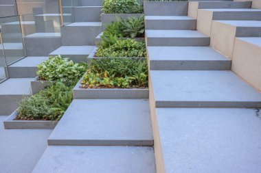 Kowloon, 3 Ağustos 2024 Kare Piramitler Bahçesi