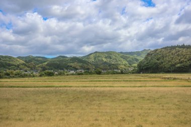 16 Mayıs 2024 Oita Tarla Çiftliği, Yufuin 'in Yetiştirilmesi Sürdürülebilir Tarım