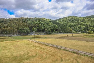 16 Mayıs 2024 Oita Tarla Çiftliği, Yufuin 'in Yetiştirilmesi Sürdürülebilir Tarım