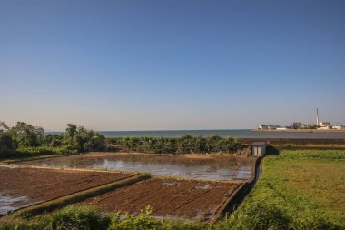 16 Mayıs 2024 Oita Tarla Çiftliği, Yufuin 'in Yetiştirilmesi Sürdürülebilir Tarım