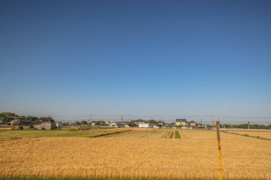 16 Mayıs 2024 Oita Tarla Çiftliği, Yufuin 'in Yetiştirilmesi Sürdürülebilir Tarım