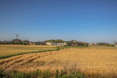 16 Mayıs 2024 Oita Tarla Çiftliği, Yufuin 'in Yetiştirilmesi Sürdürülebilir Tarım