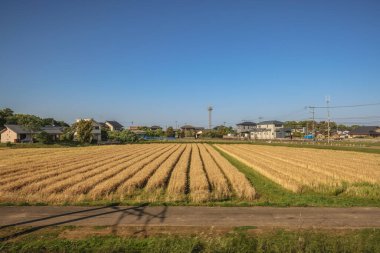 16 Mayıs 2024 Oita Tarla Çiftliği, Yufuin 'in Yetiştirilmesi Sürdürülebilir Tarım