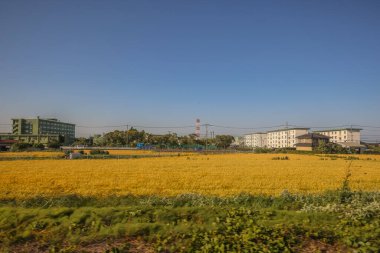 16 Mayıs 2024 Oita Tarla Çiftliği, Yufuin 'in Yetiştirilmesi Sürdürülebilir Tarım