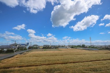 16 Mayıs 2024 Oita Tarla Çiftliği, Yufuin 'in Yetiştirilmesi Sürdürülebilir Tarım