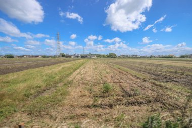 16 Mayıs 2024 Oita Tarla Çiftliği, Yufuin 'in Yetiştirilmesi Sürdürülebilir Tarım