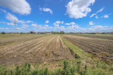 16 Mayıs 2024 Oita Tarla Çiftliği, Yufuin 'in Yetiştirilmesi Sürdürülebilir Tarım