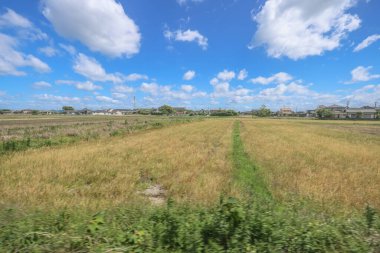 16 Mayıs 2024 Oita Tarla Çiftliği, Yufuin 'in Yetiştirilmesi Sürdürülebilir Tarım