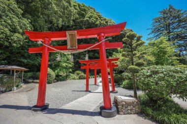 Beppu, Japonya Umi Jigoku Kaplıcaları Beppu, Oita 16 Mayıs 2024