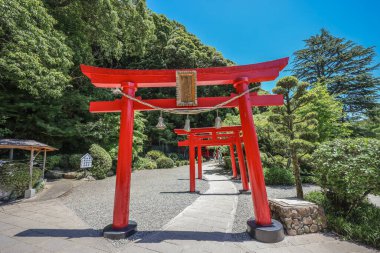 Beppu, Japonya Umi Jigoku Kaplıcaları Beppu, Oita 16 Mayıs 2024