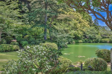 Umi Jigoku, Beppu 'nun Büyüleyici Deniz Cehennemi Jeotermal Harikalar Diyarı 16 Mayıs 2024