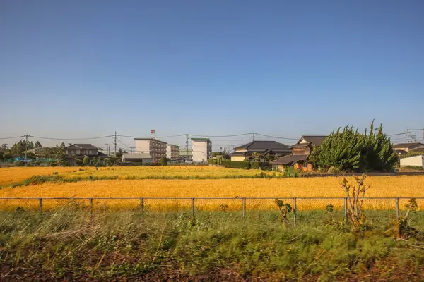 stock image May 16 2024 Oita Field Farm, Cultivating Yufuin Sustainable Agriculture