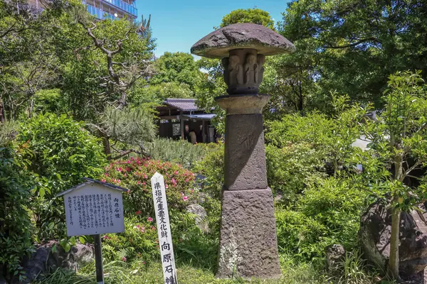 stock image Oita, Japan, Shiraike Jigoku at Beppu Jigoku Meguri May 16 2024