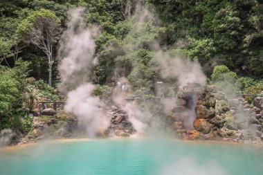 Umi Jigoku, Beppu 'nun Büyüleyici Deniz Cehennemi Jeotermal Harikalar Diyarı 16 Mayıs 2024