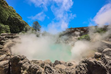 Umi Jigoku, Beppu 'nun Büyüleyici Deniz Cehennemi Jeotermal Harikalar Diyarı 16 Mayıs 2024