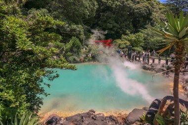 Umi Jigoku, Beppu 'nun Büyüleyici Deniz Cehennemi Jeotermal Harikalar Diyarı 16 Mayıs 2024