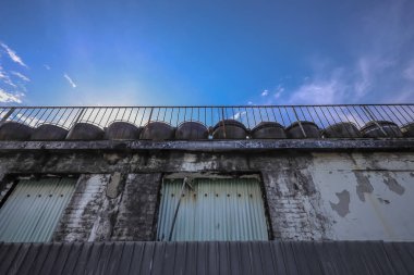 Hong Kong Endüstriyel Gıda Fabrikası 'nda canlı operasyonlar