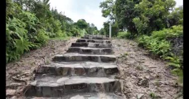 Hong Kong - 1 Ekim 2024: Doğadaki Taş Yol Boyunca Huzurlu Yolculuk