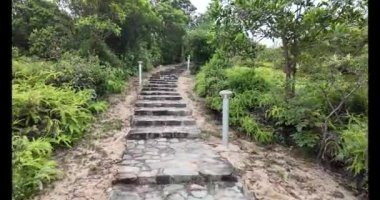 Hong Kong - 1 Ekim 2024: Doğadaki Taş Yol Boyunca Huzurlu Yolculuk