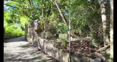 Hong Kong - 18 Eylül 2024: Büyüleyici Köy Hayatı Kwu Tung Tsuen, HK