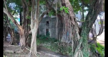 Geleneksel Asya Evi, Ebedi Mimar ve Mimar, Hong Kong, 19 Ekim 2024