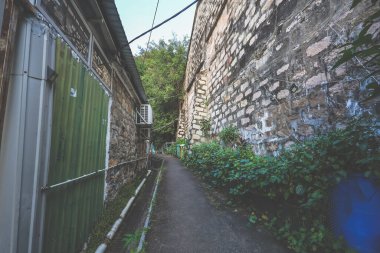 27 Ekim 2024, Hong Kong Son Kıyı Köyü