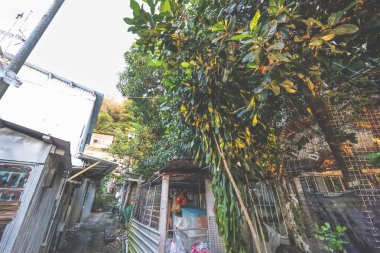 27 Ekim 2024, Hong Kong Son Kıyı Köyü