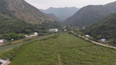 31 Aralık 2024 'te Hong Kong' un Bataklık Harikaları 'nı keşfediyorum.