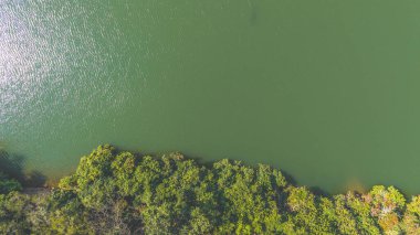 Sakin bir nehri gösteren büyüleyici bir hava fotoğrafı 11 Ocak 2025