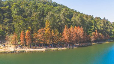 Jan 11 2025 Beautiful birds eye view of a picturesque autumn walking trail clipart