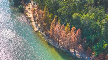 Ocak 11 2025 Güzel kuşlar güzel bir sonbahar yürüyüşü manzarası