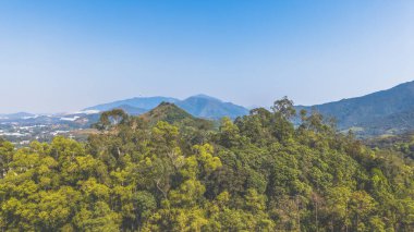 Yeşil Ormanlar ve Şehir Sahnesi Olarak Vadi Manzarası 11 Ocak 2025