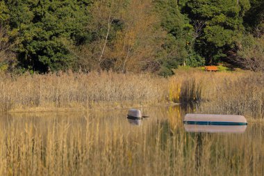 Uzun otlar ve ağaçlarla çevrili gölet kısmen batık teknelerle sakin ve doğal bir ortam yaratıyor. 4 Aralık 2024