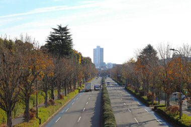4 Aralık 2024 Sonbahar renkli çorak ağaçlarla çevrili, arabalar sürüyor.
