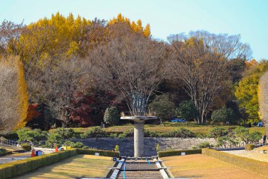 4 Aralık 2024 Düzenli yolları olan bir botanik parkının manzarası,