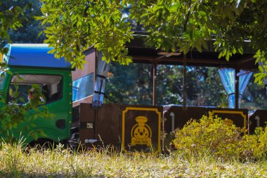 4 Aralık 2024 Parktaki parlak yeşil bir minyatür tren