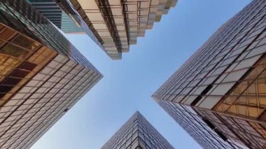 Çin Hong Kong Şehri Şehir Simgesi Vibrant Skyline Liman Manzarası, 19 Ocak 2025