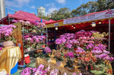 Hong Kong Victoria Park Ay Yeni Yıl Fuarı Kutlaması 25 Ocak 2025