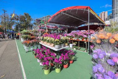 Hong Kong Victoria Park Ay Yeni Yıl Fuarı Kutlaması 25 Ocak 2025