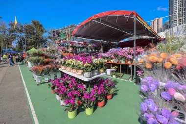 Hong Kong Victoria Park Ay Yeni Yıl Fuarı Kutlaması 25 Ocak 2025