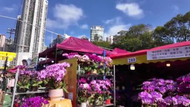 Victoria Park Yeni Yıl Çiçekleri Festivali Geleneği, Hong Kong, 25 Ocak 2025