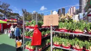 Victoria Park Yeni Yıl Çiçekleri Festivali Geleneği, Hong Kong, 25 Ocak 2025