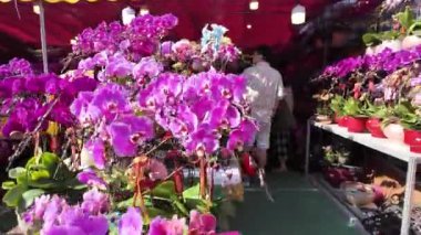 Victoria Park Yeni Yıl Çiçekleri Festivali Geleneği, Hong Kong, 25 Ocak 2025