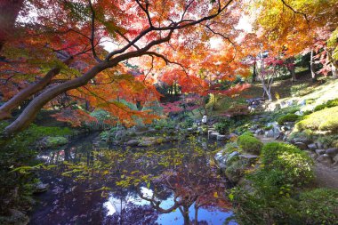 4 Aralık 2024 bereketli bir bahçede, renkli sonbahar yapraklarıyla çevrili sakin bir gölet.