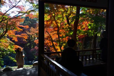 4 Aralık 2024 Ahşap Evli Geleneksel Japon Bahçesi