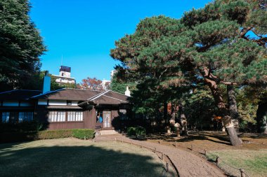 4 Aralık 2024 Yeşillik ve kentsel zıtlıklar arasında ahşap bir ev manzarası,