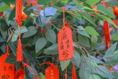 Jan 31 2025 Traditional red charms written with wishes for luck clipart