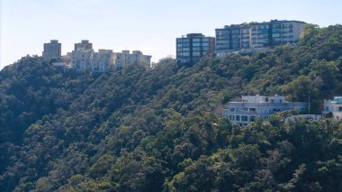 The Peak Villa Lüks Konutları Hong Kong 28 Ocak 2021